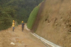 OBRA-RUTA-DEL-CAFE-CHINCHINA-CALDAS-K100-REVEGETALIZACION